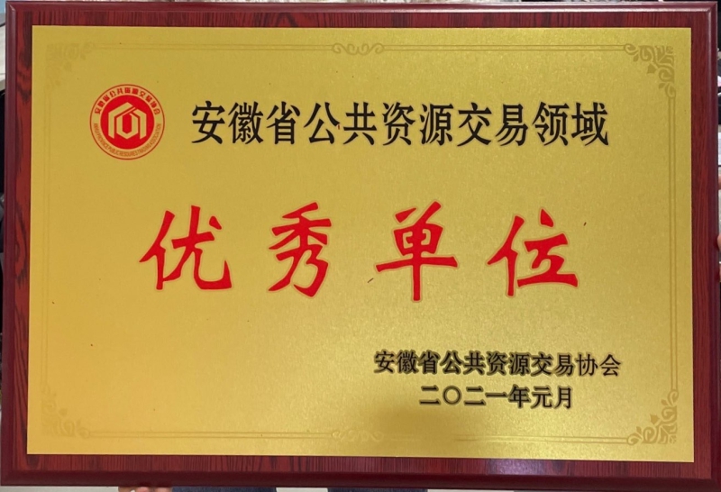 安徽省公共資源交易領(lǐng)域優(yōu)秀單位